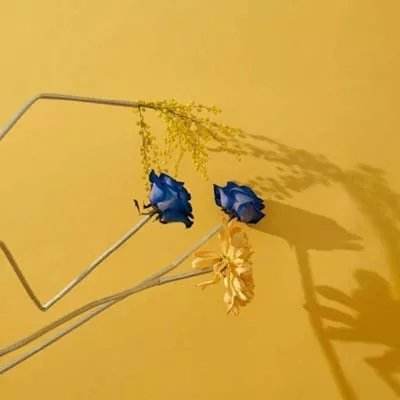 尊龙手机版下载截图